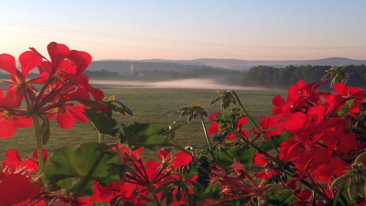 Waldhotel Dierdorf エクステリア 写真