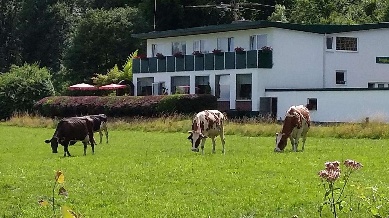 Waldhotel Dierdorf エクステリア 写真